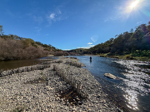 Survey in a recent restoration area