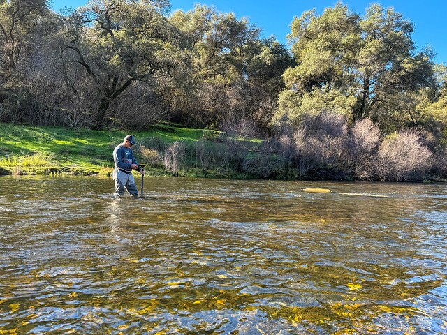 Another day at the office