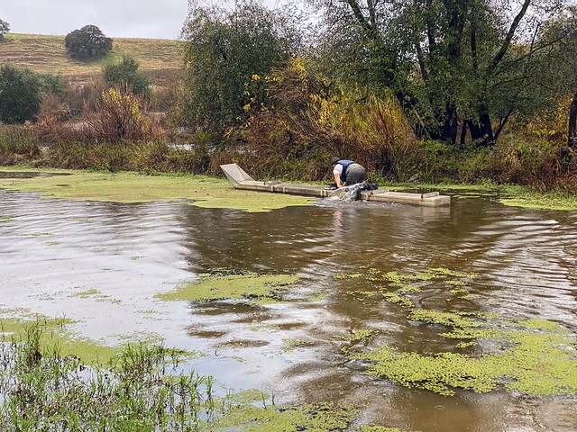 Moving trap pontoon