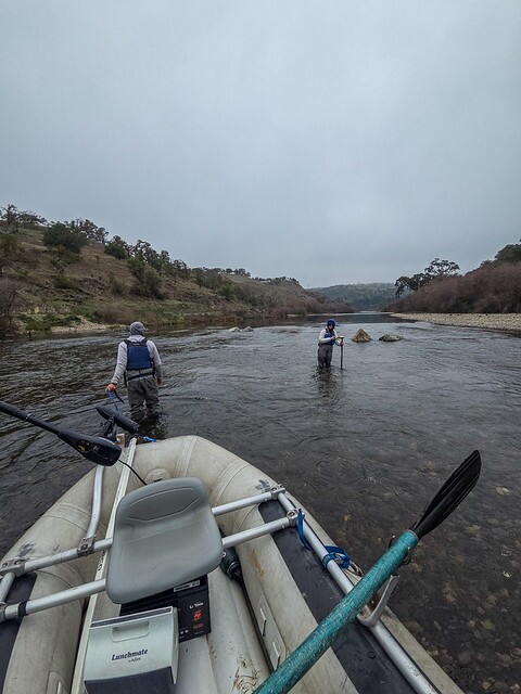 Salmon redd survey