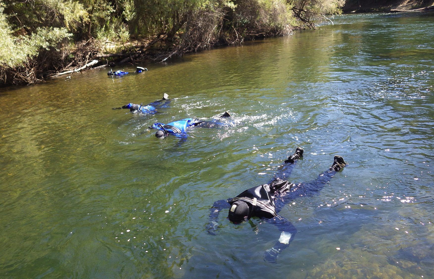 Snorkel survey