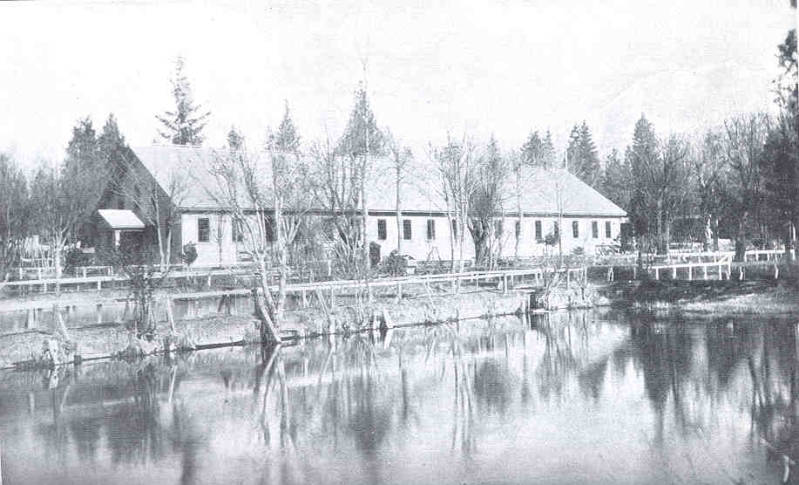 Mt Shasta Hatchery