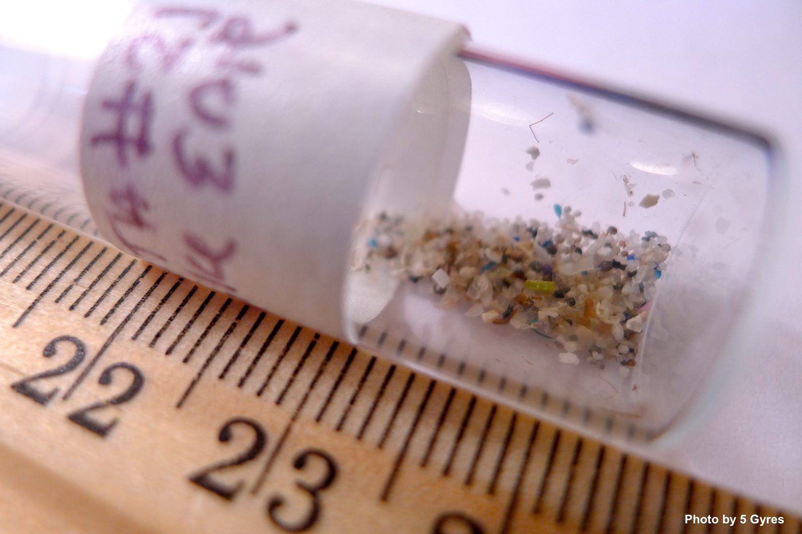 Microplastics