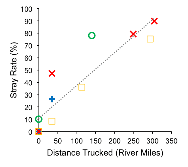 Straying Graph