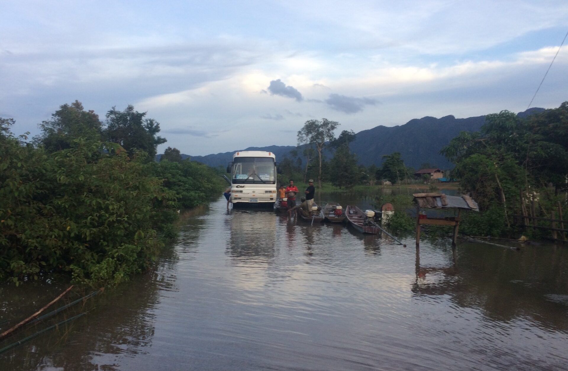 Bus in the road