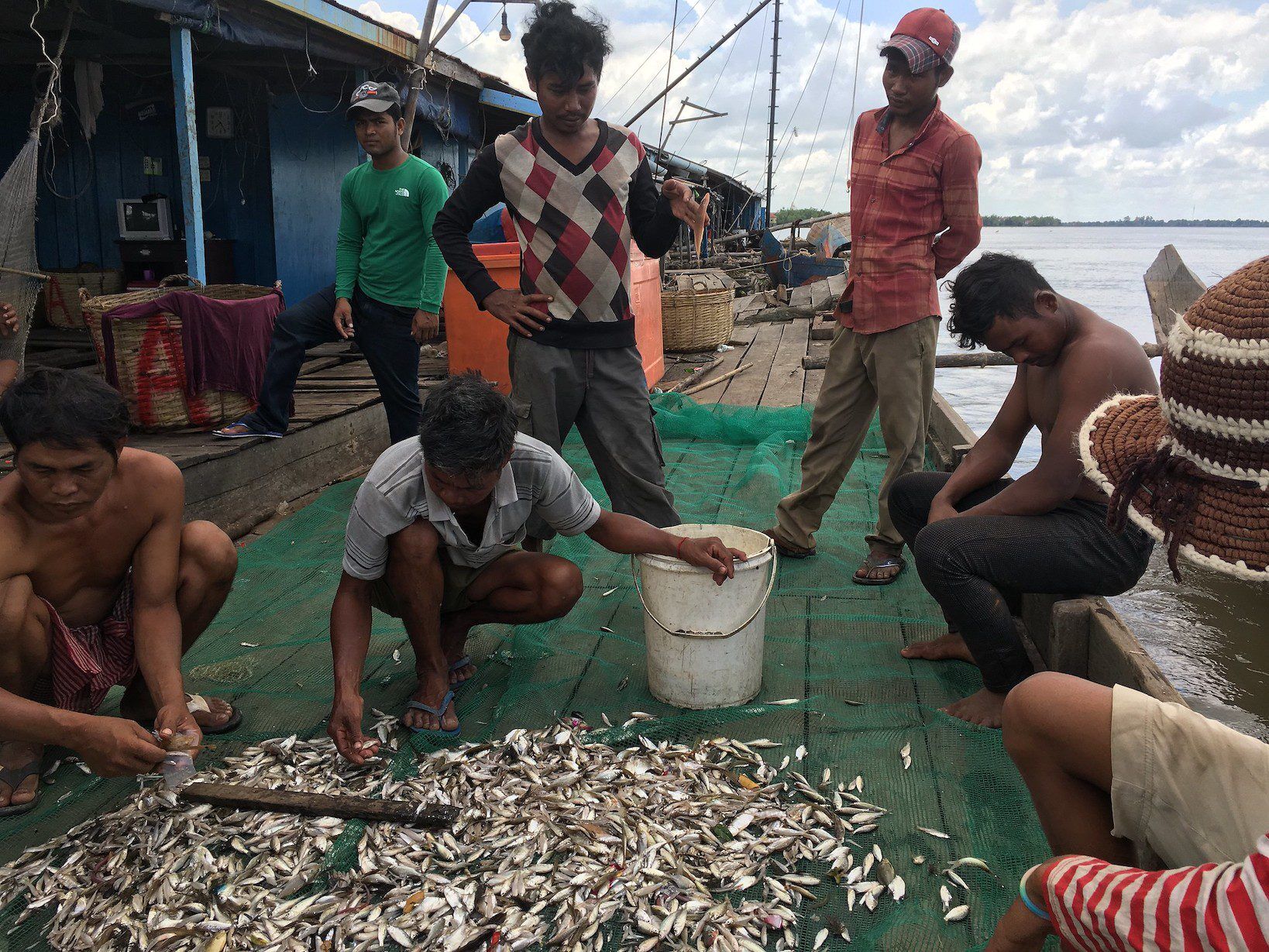 dai fishery fish catch
