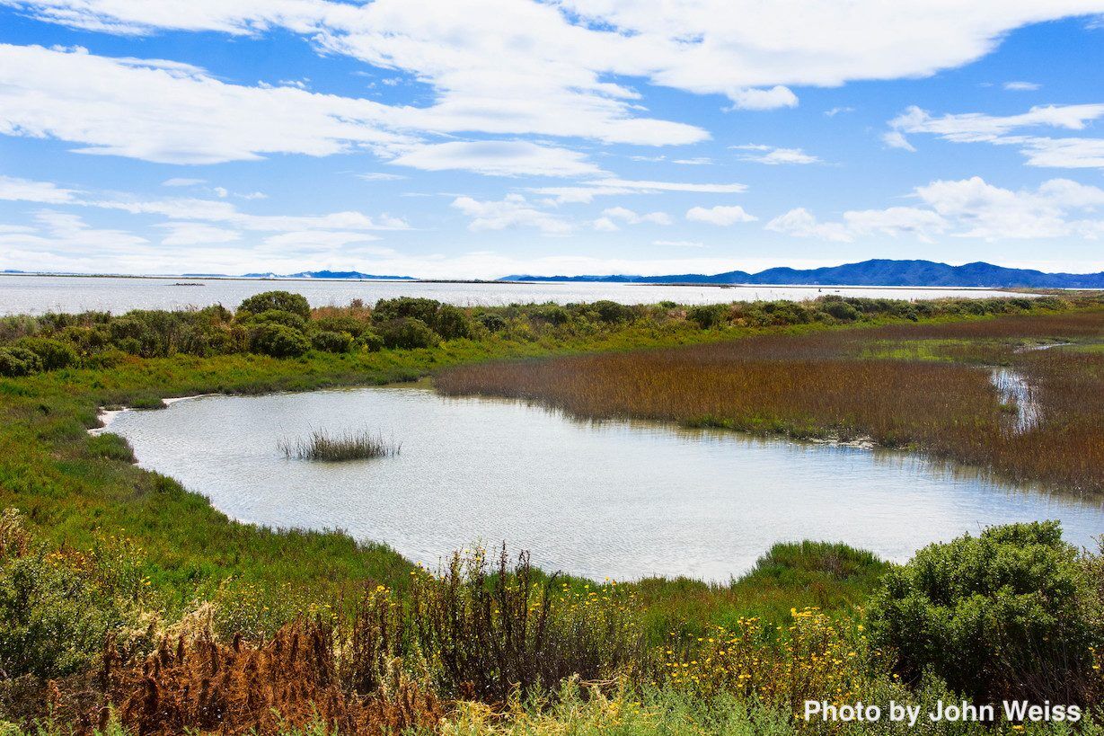 San Pablo Bay National Wildlife Refuge