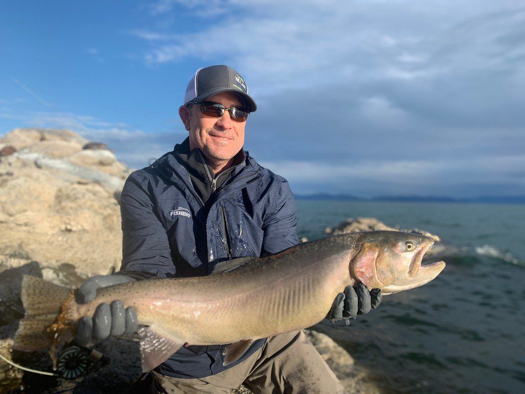 Lahontan Cutthroat Trout