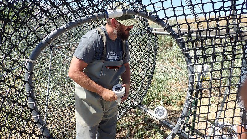 PIT antenna inside passive fyke trap