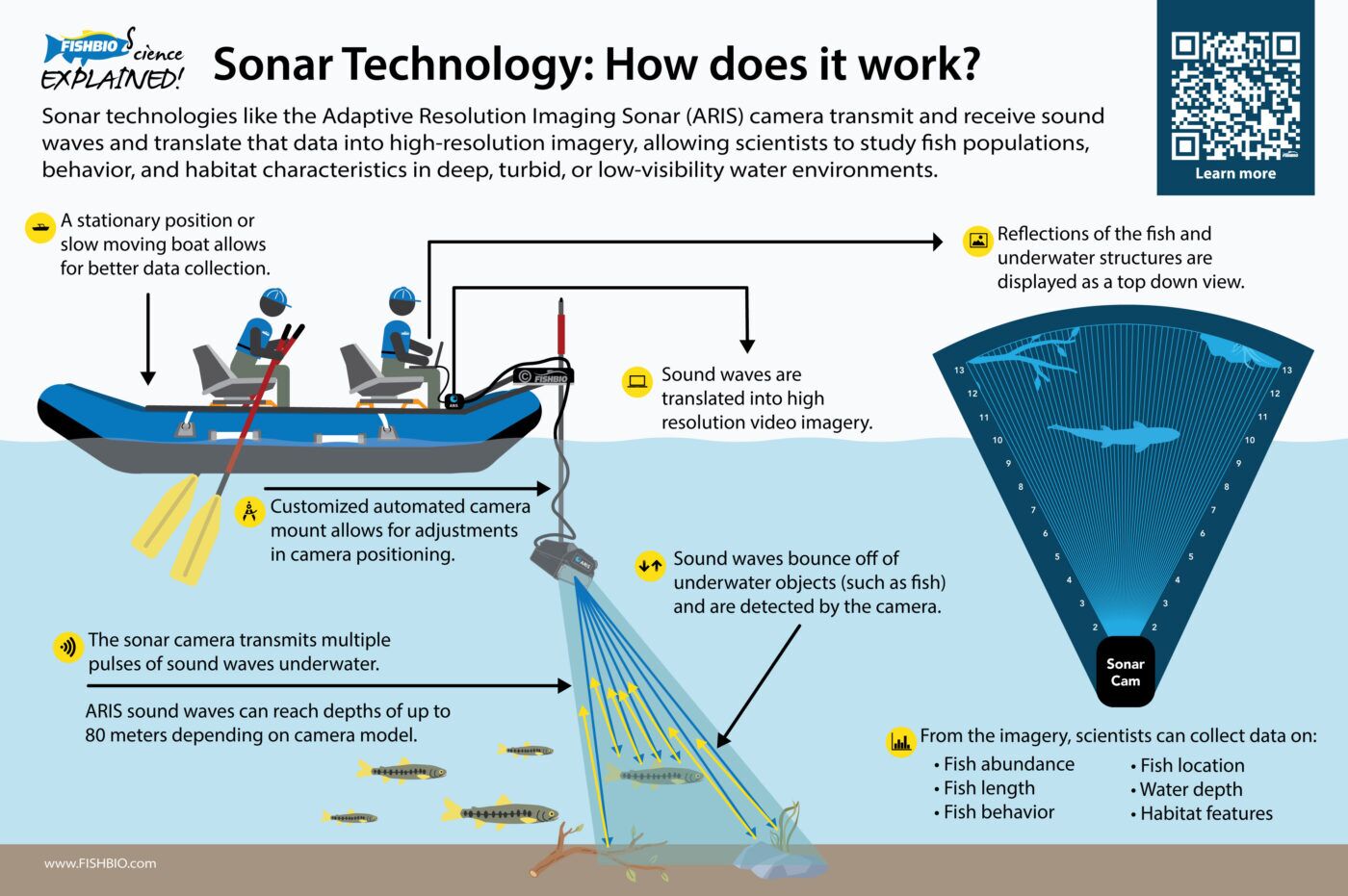 A graphic illustrating how Sonar technology, in particular, the ARIS camera, work.