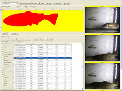 vaki-winari-screenshot