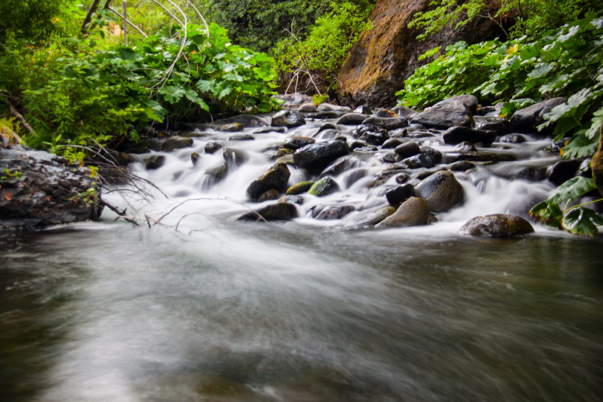 Big Chico Creek
