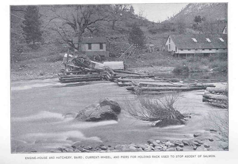 Baird Hatchery 