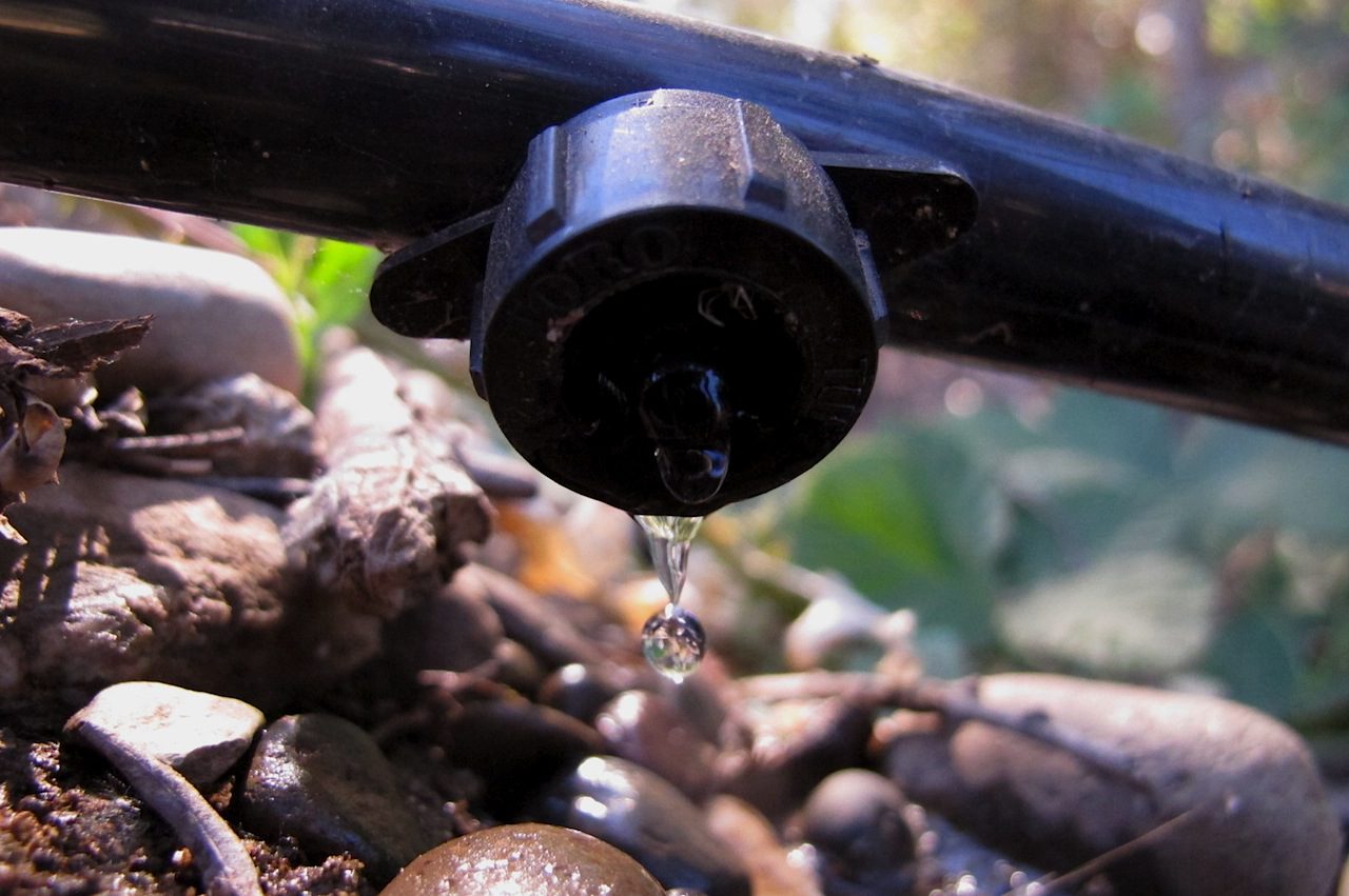 Every drop counts...