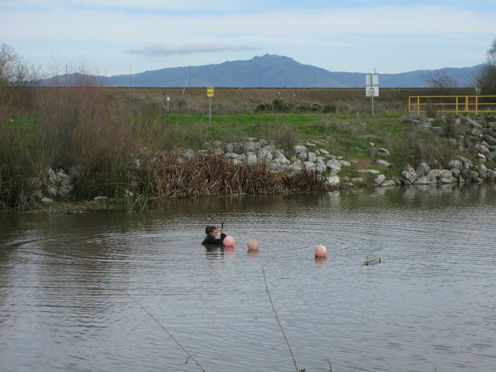 Installing Buoy