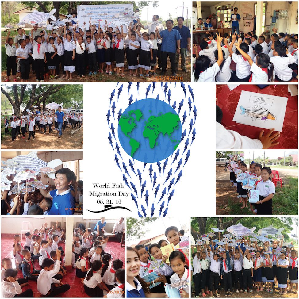 WFMD_collage