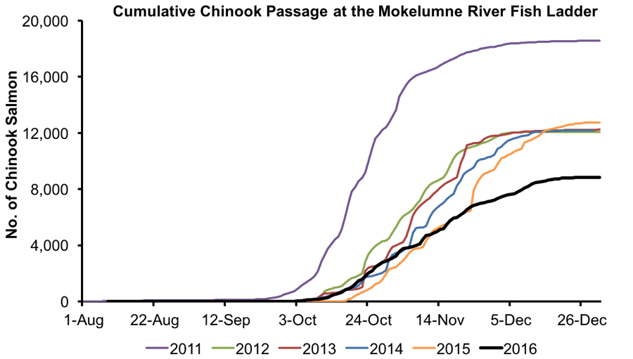 Mokelumne Cumulative