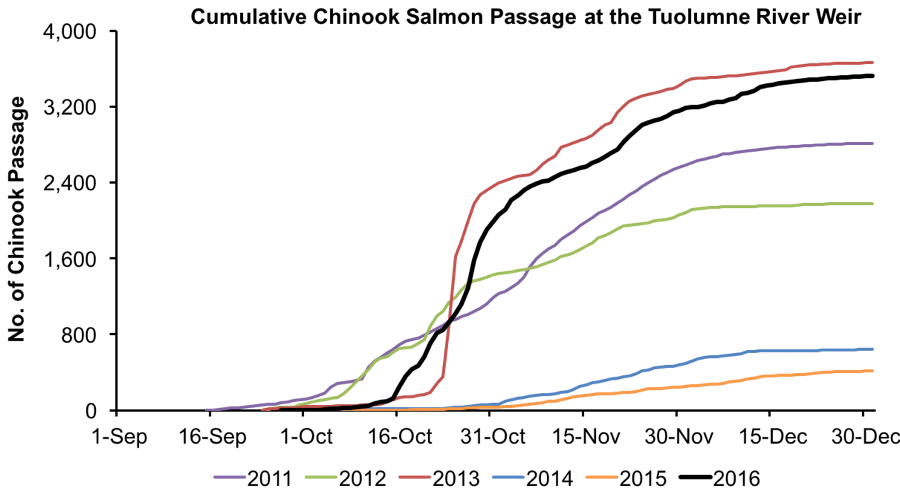 Tuolumne Cumulative