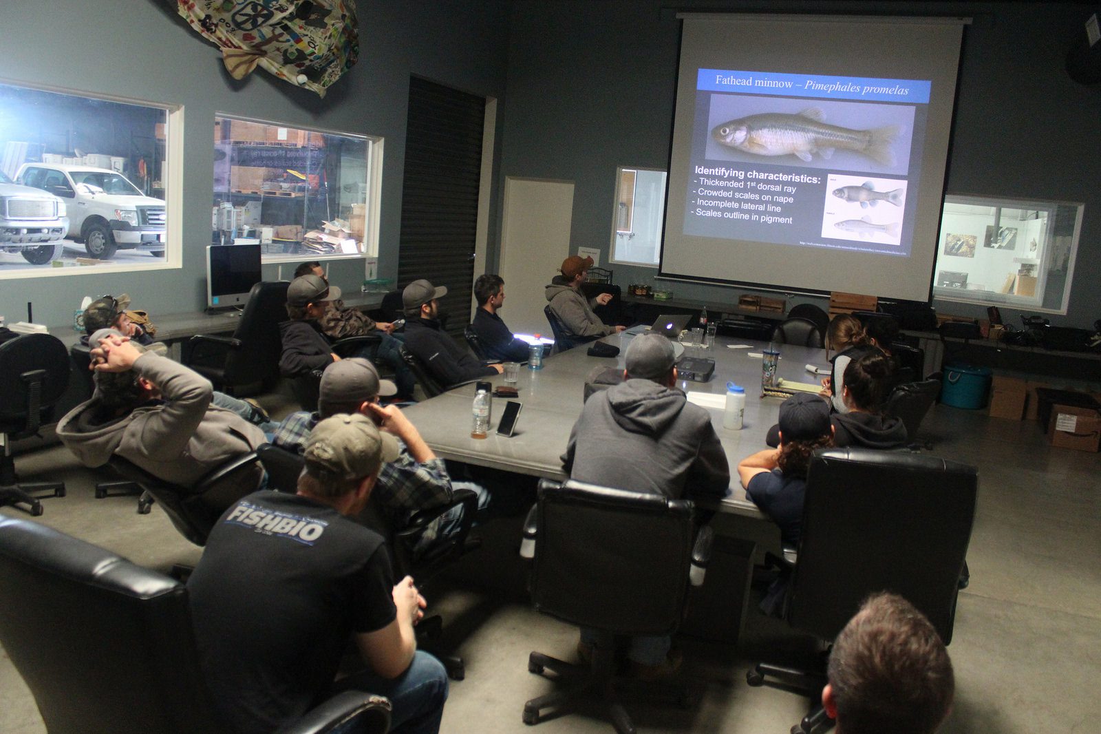 Fish ID Training