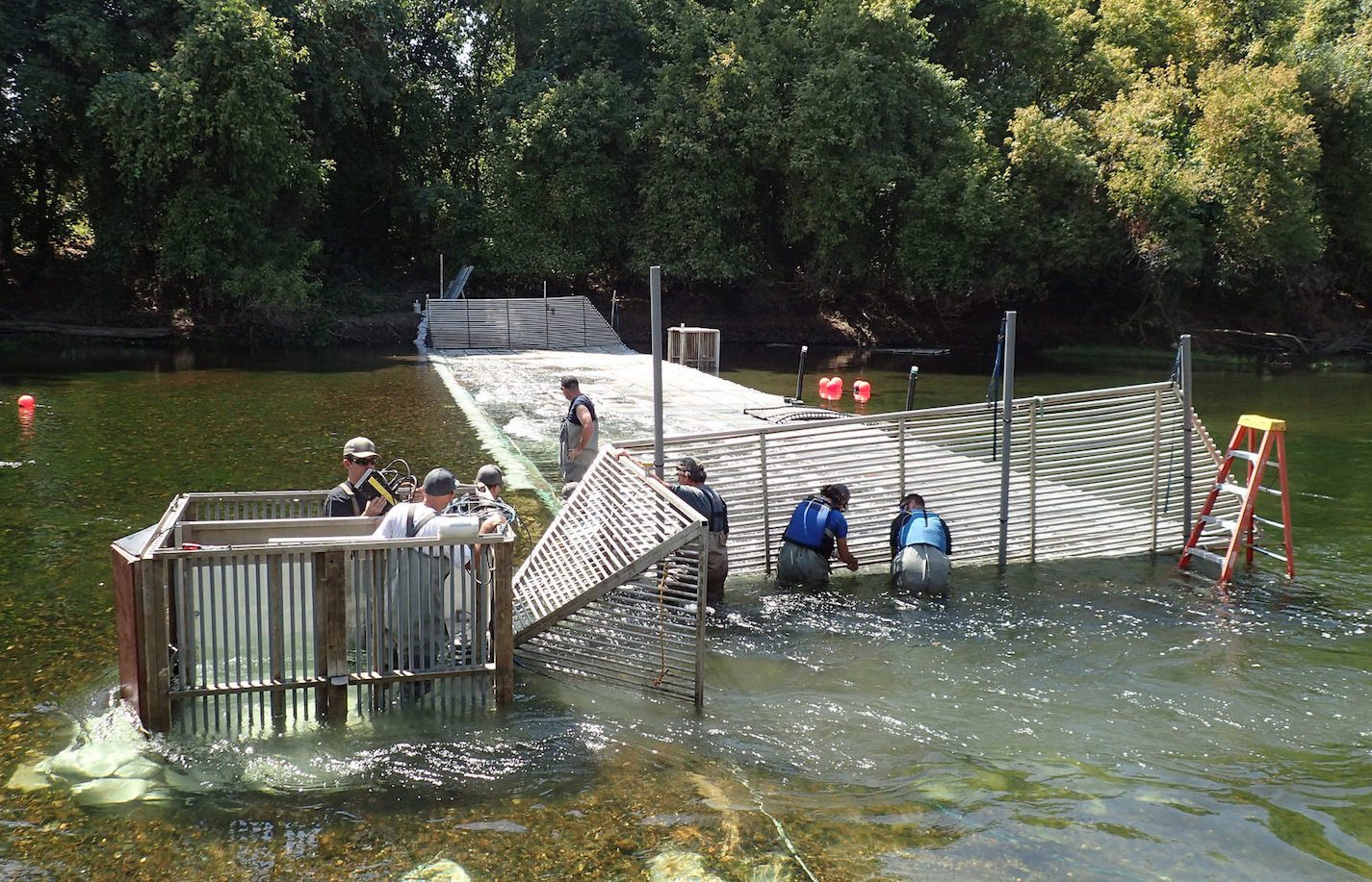 Stanislaus weir installation