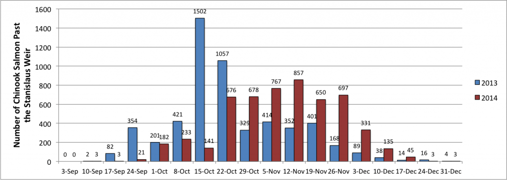 Salmon graph 12-31