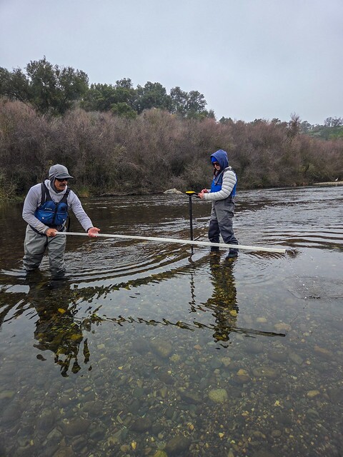 Measuring salmon redd