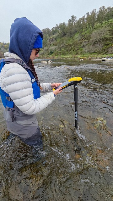 Entering salmon redd data