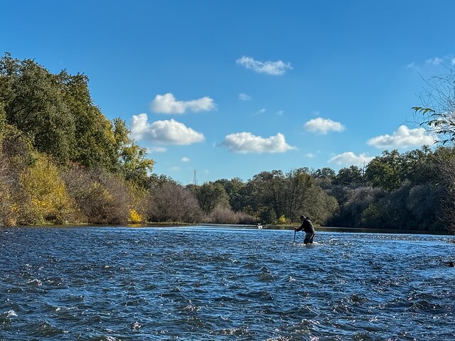 Collecting salmon redd data