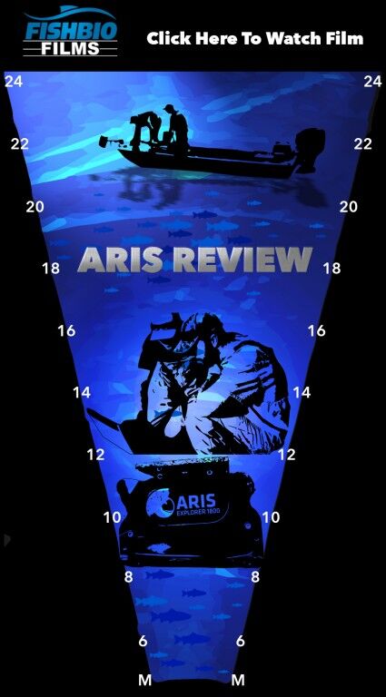 ARIS Review
