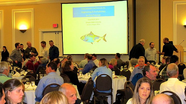 International Fish Passage conference