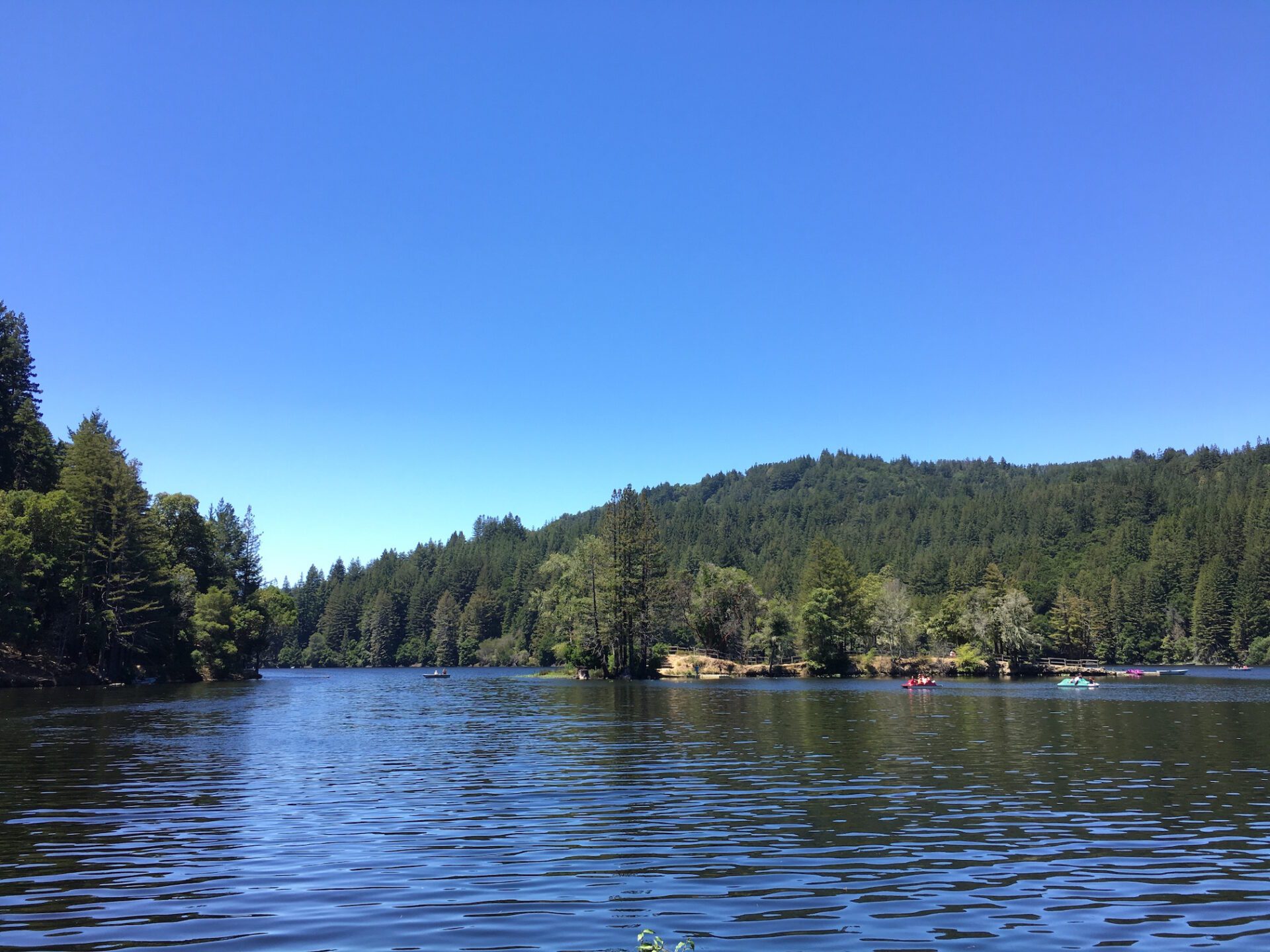 Loch Lomond Reservoir