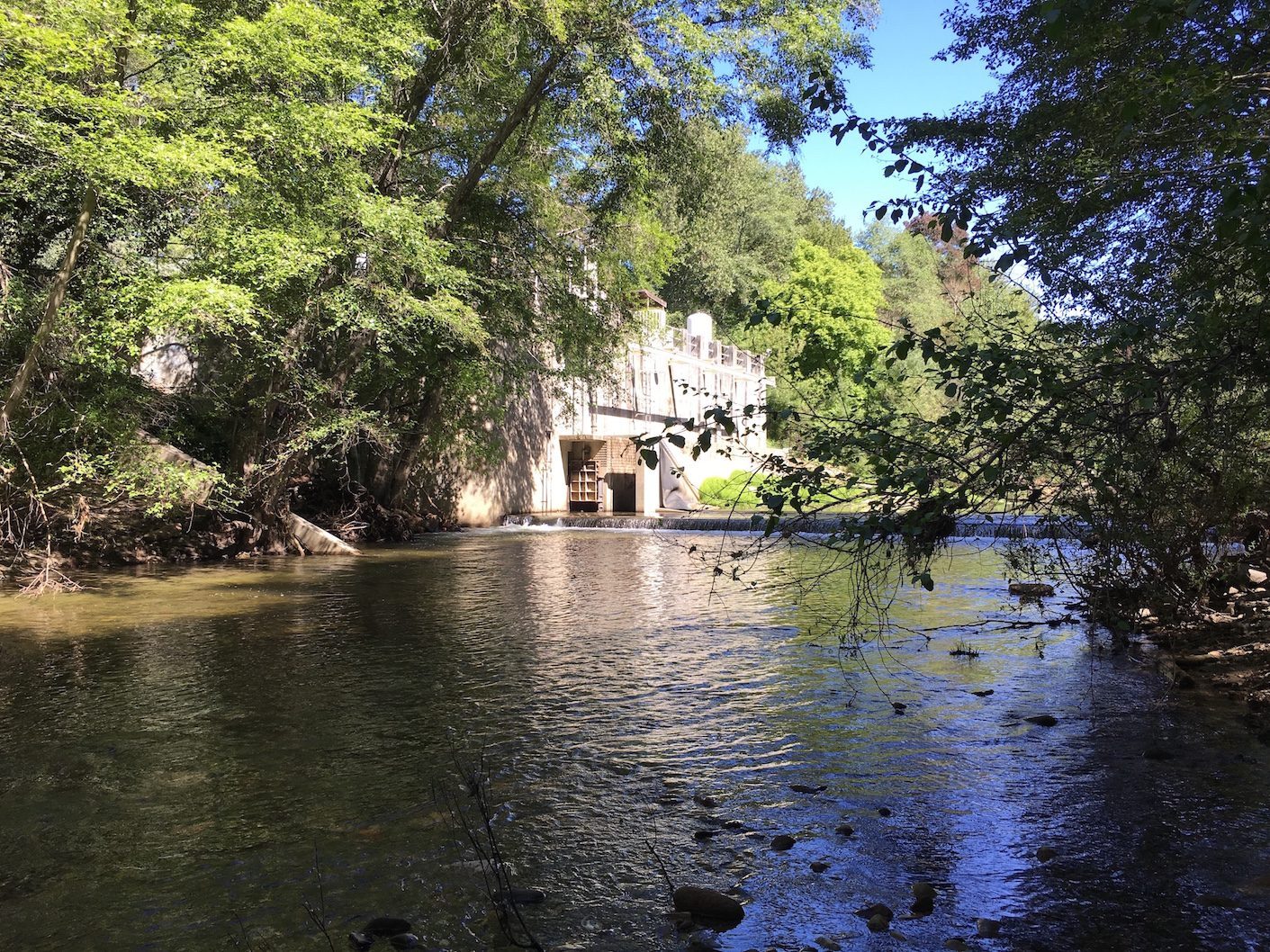 San Lorenzo River inflatible diversion dam