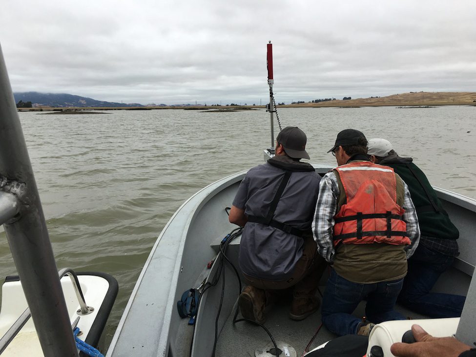 Capturing Sonar Footage