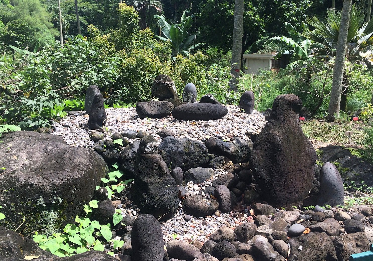 Hawaiian Fishing Shrine