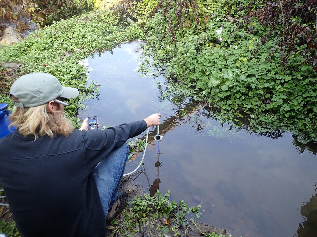 eDNA Sampling