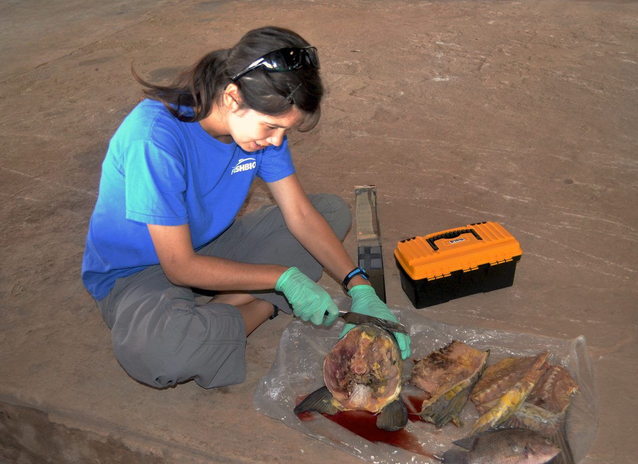 Searching for Probarbus otoliths