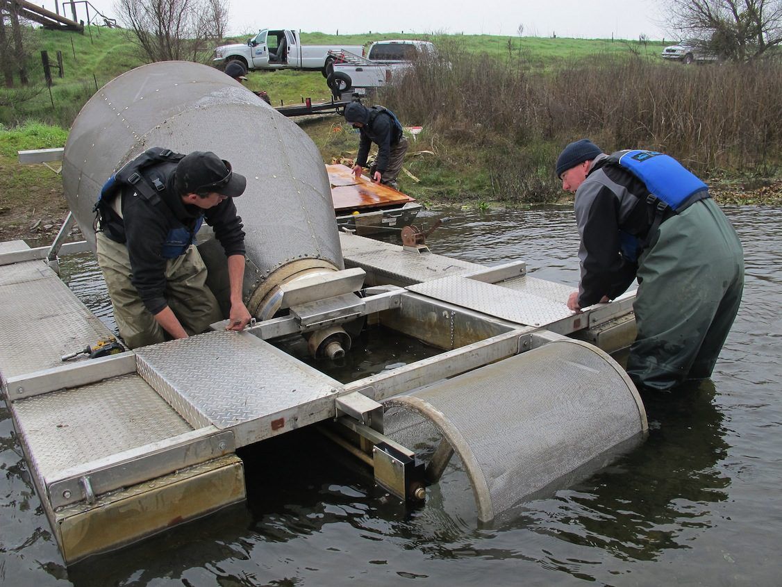 Installing rotary screw trap