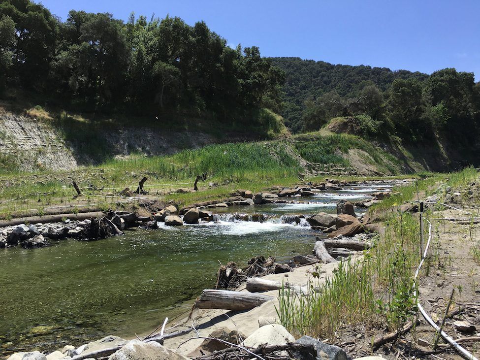 Carmel River