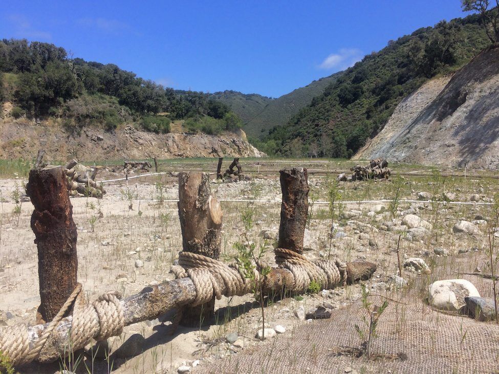 Woody structures in restored floodplain