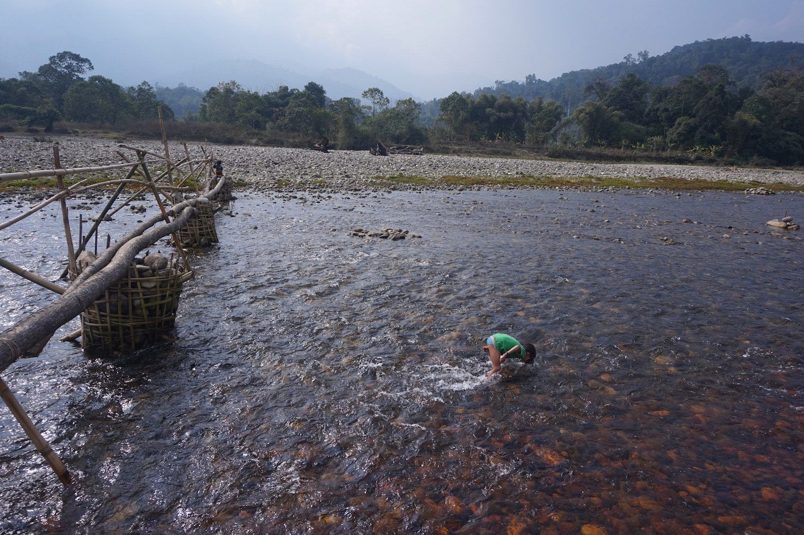 Searching for fish