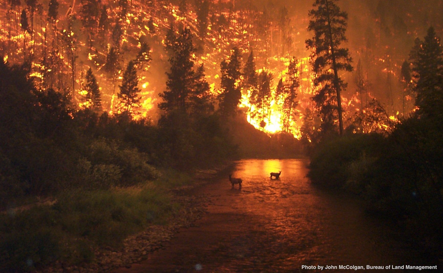 Fire Bitterroot River Montana