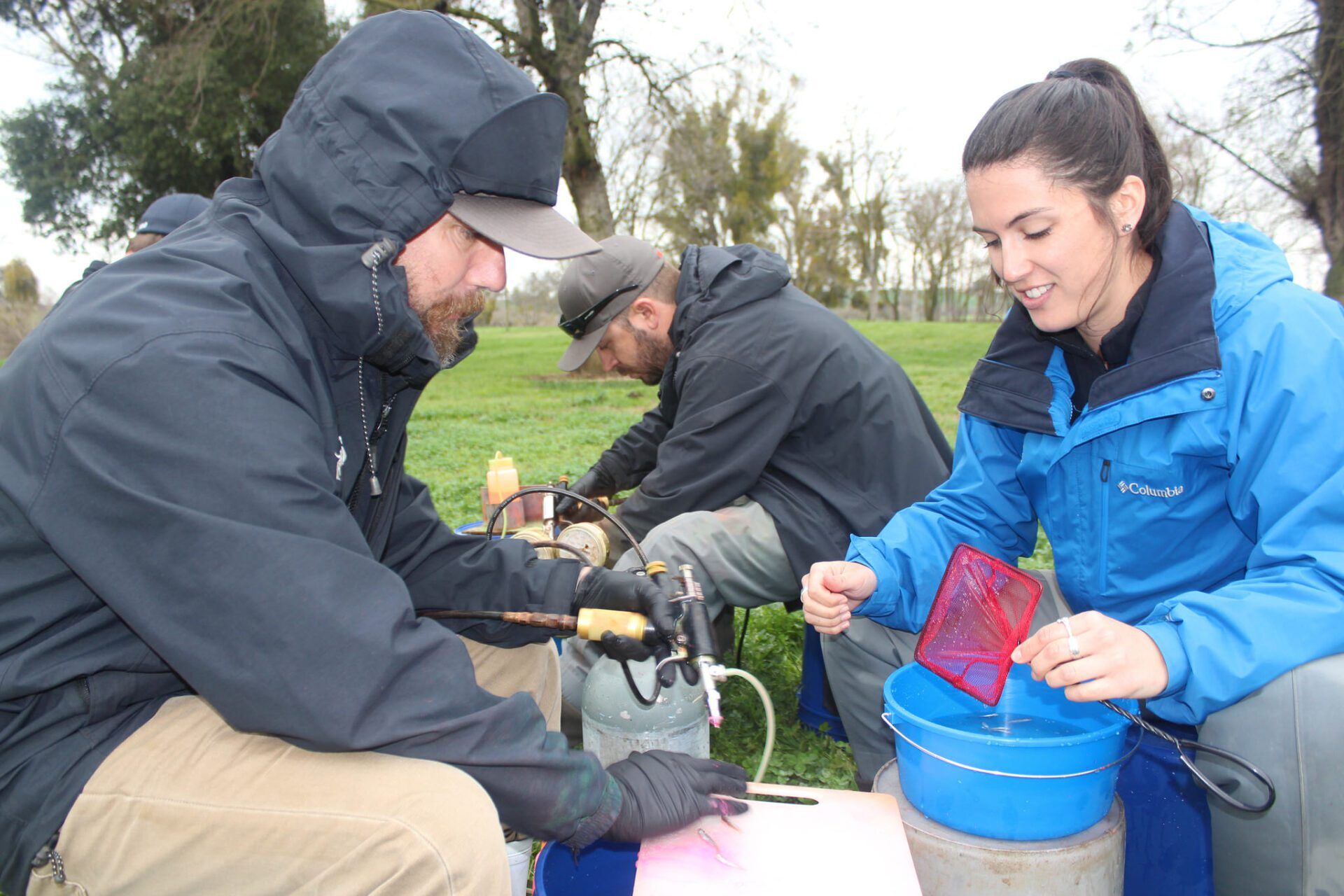 salmon marking team