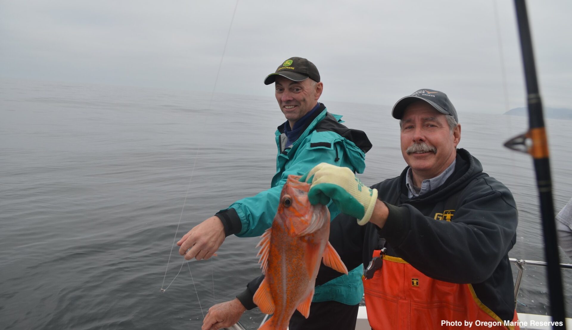 Canary rockfish catch