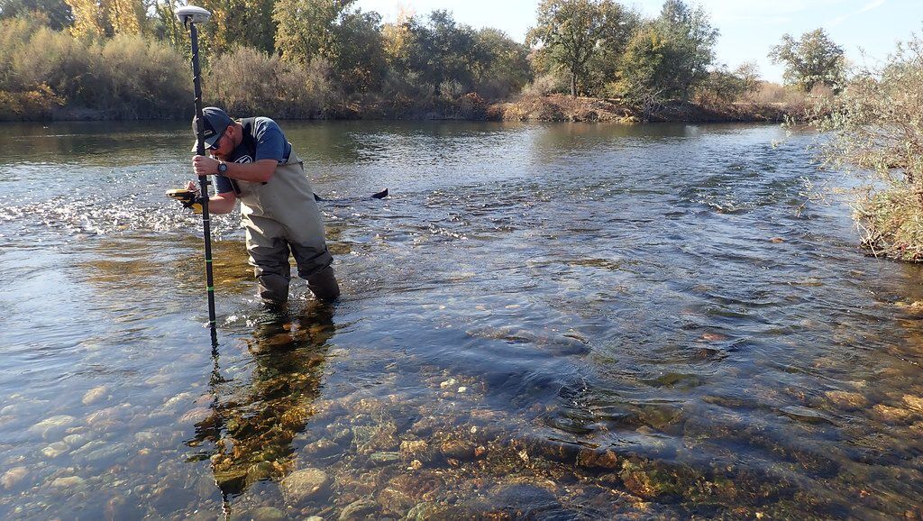 Marking a Salmon Red