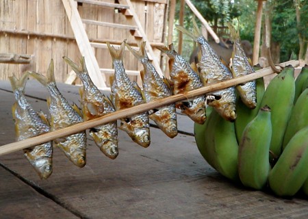 Fish food mekong