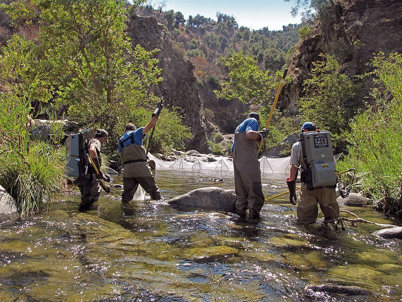 Small Stream Backpack Electrofishing