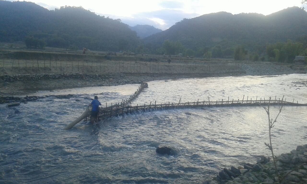 Checking fish trap