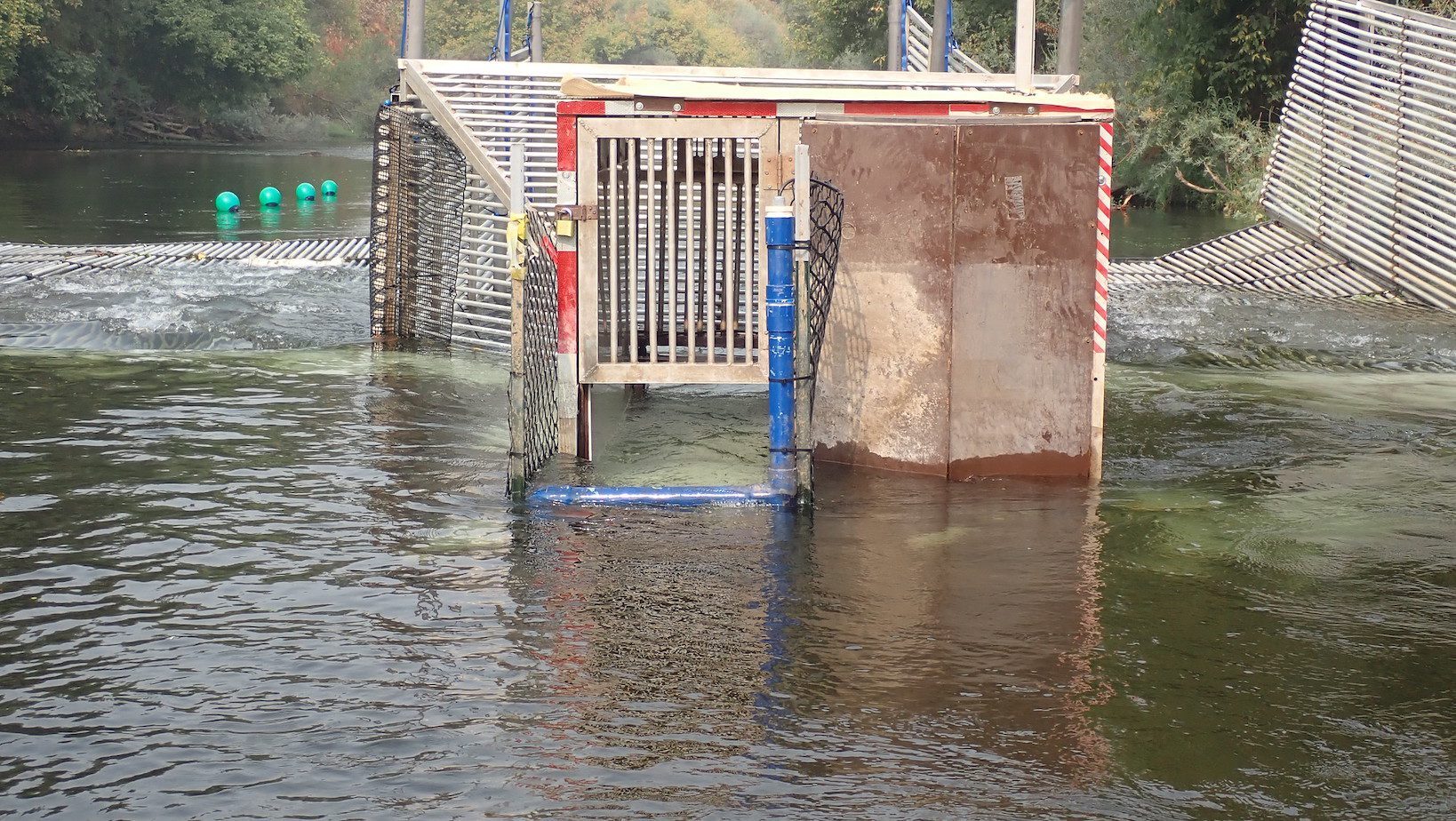 Weir PIT tag antenna