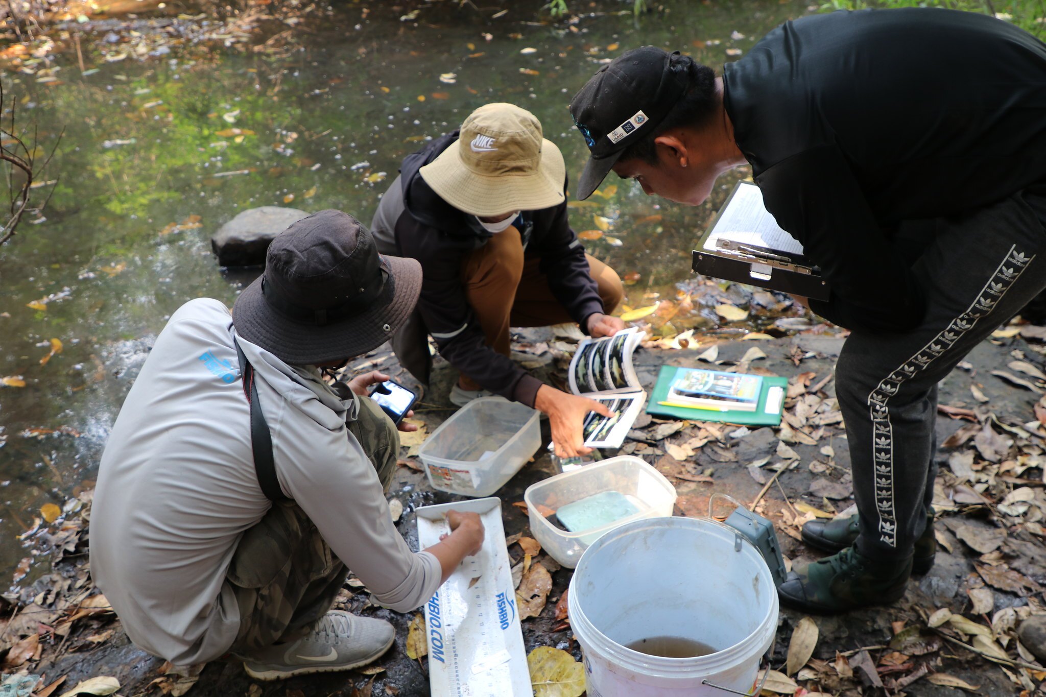 Connecting Research and Management to Sustain Migratory Fishes