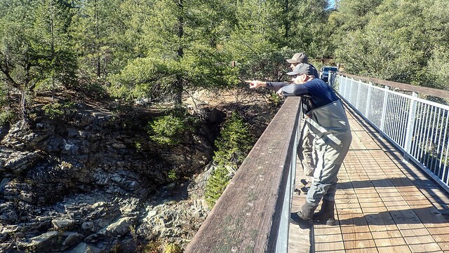 Scouting Trap Locations